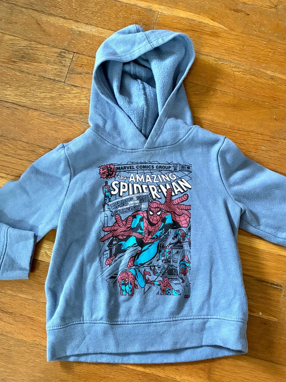 Spider-Man Hoodie